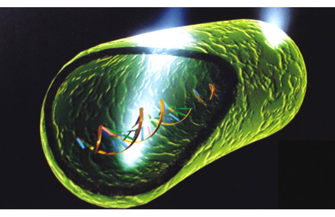 天深紫外消毒系统原理